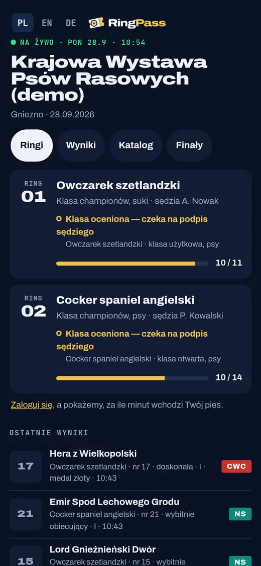 Wyniki na żywo: ringi i ostatnie wyniki